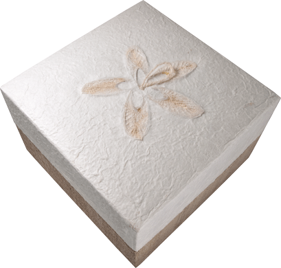 white hemp biodegradable box urn