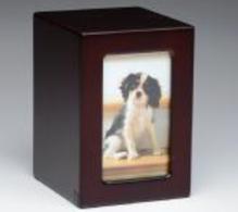 Dark cherry wood pet cremation urn with picture frame