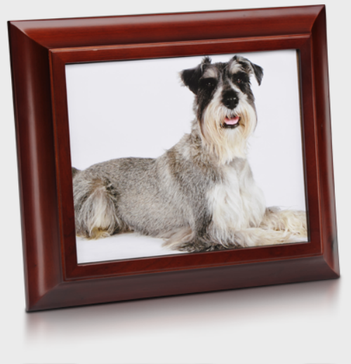 Picture frame with urn for pet